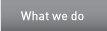 What we do