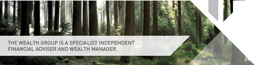 THE WEALTH GROUP IS A SPECIALIST INDEPENDENT FINANCIAL ADVISER AND WEALTH MANAGER.