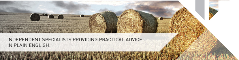 INDEPENDENT SPECIALISTS PROVIDING PRACTICAL ADVICE IN PLAIN ENGLISH.